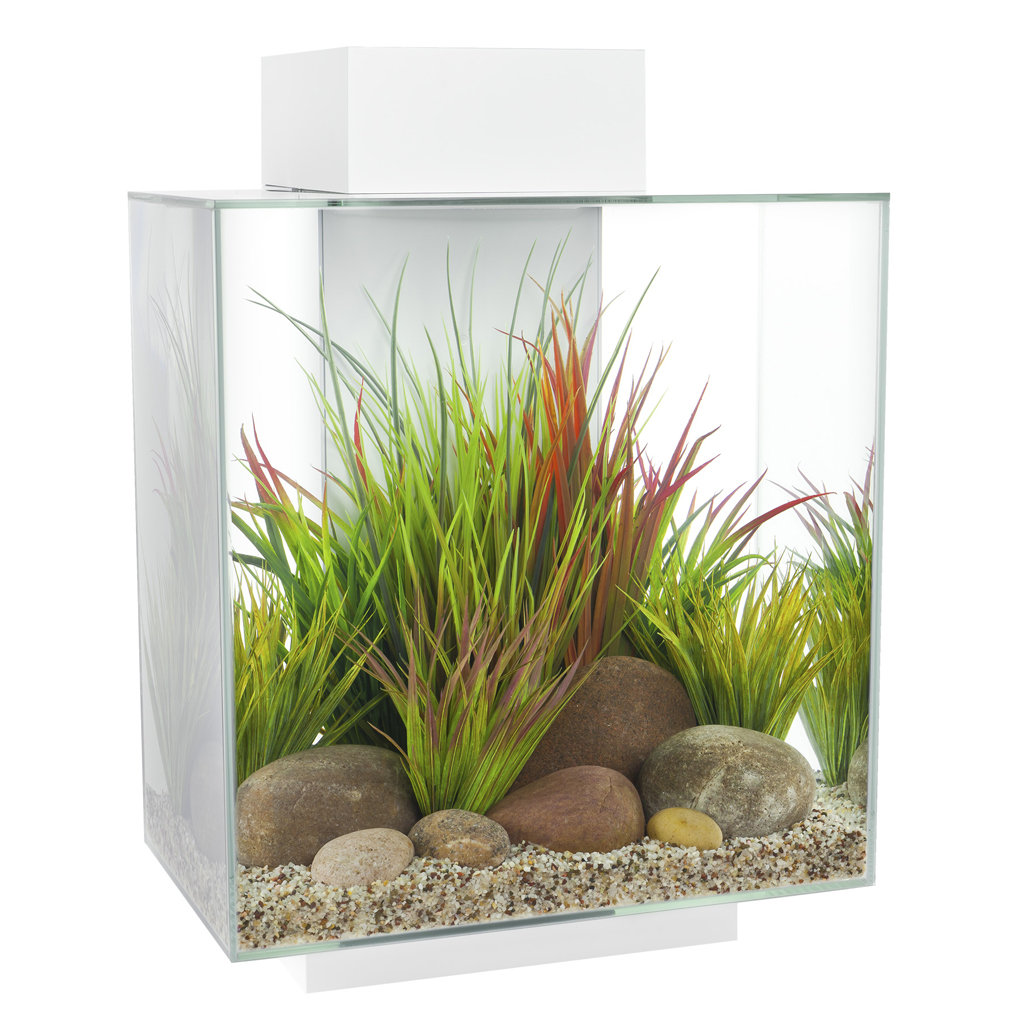 Hagen 12 Gallon Fluval Edge Aquarium Kit & Reviews | Wayfair